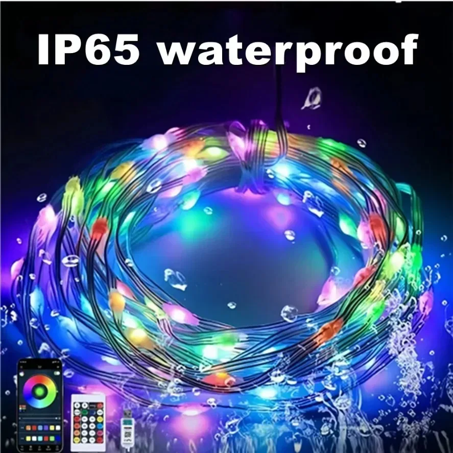 5-20m WS2812B RGB LED-Lichterk – Ws2812B Bewertung und Preis